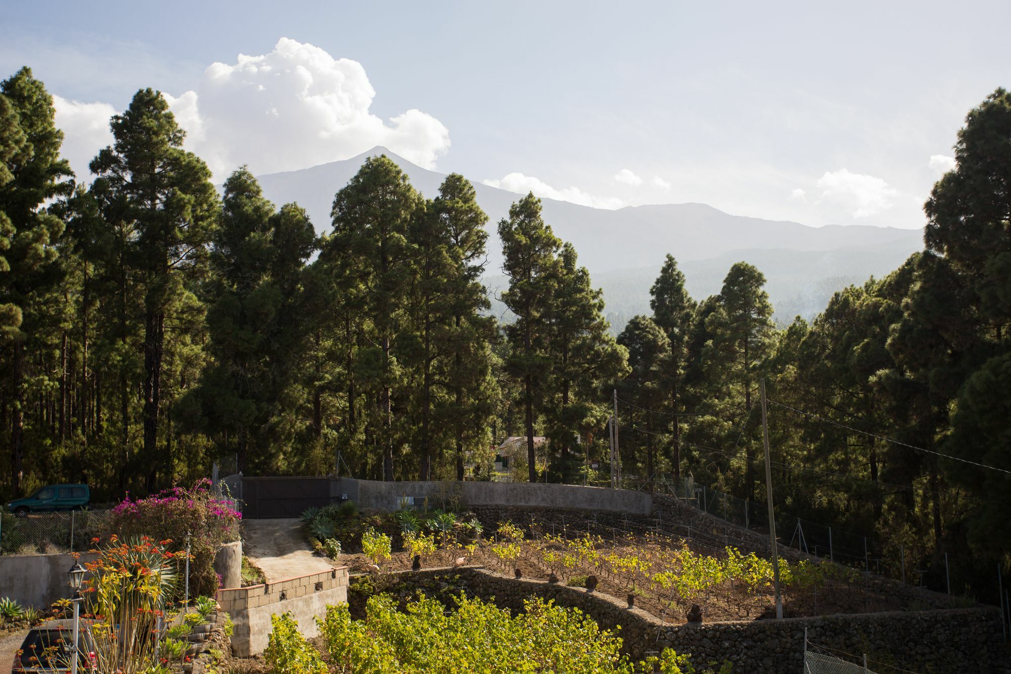 Finca Casa Yaya Икод де лос Винос Екстериор снимка
