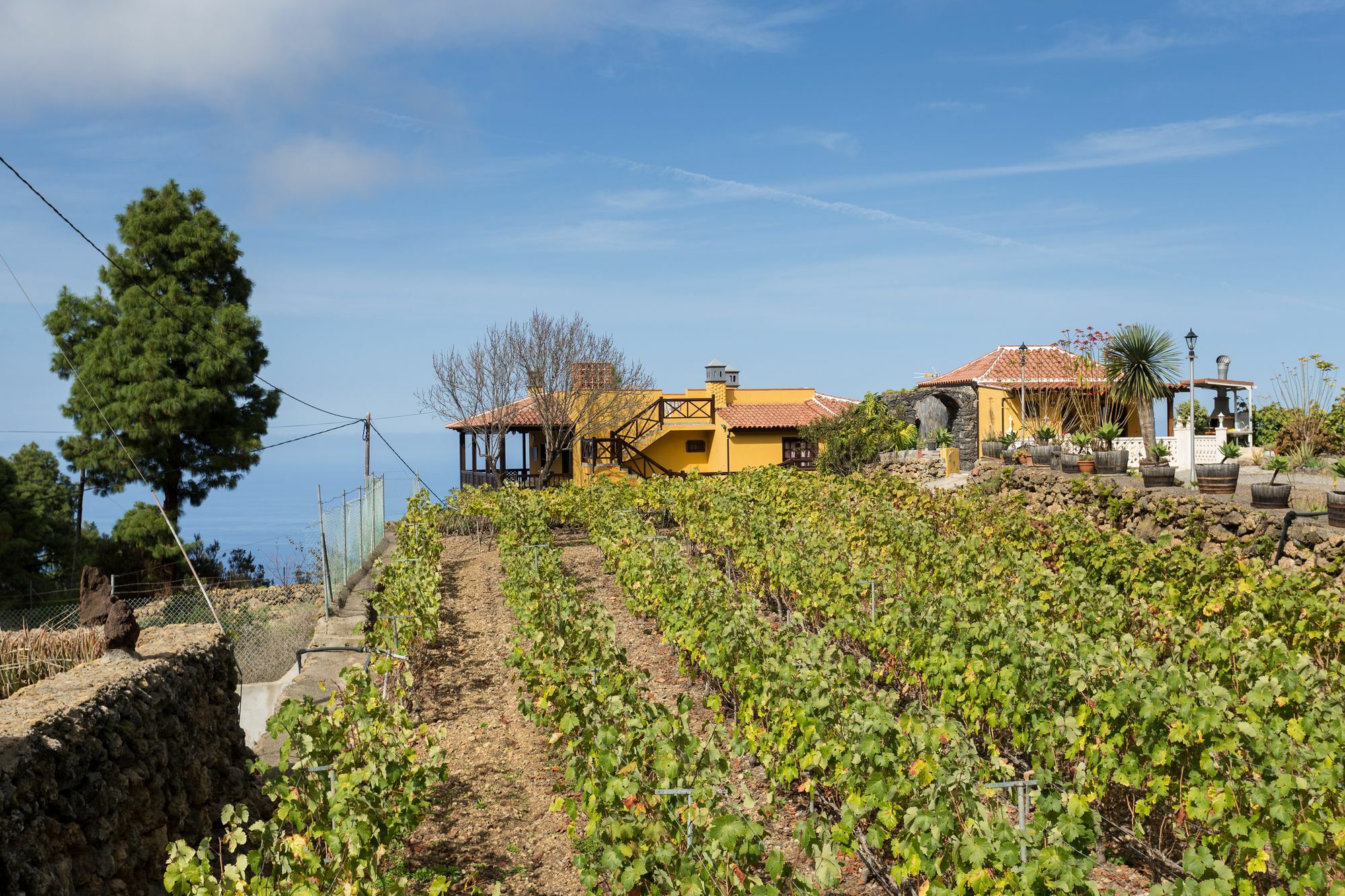 Finca Casa Yaya Икод де лос Винос Екстериор снимка