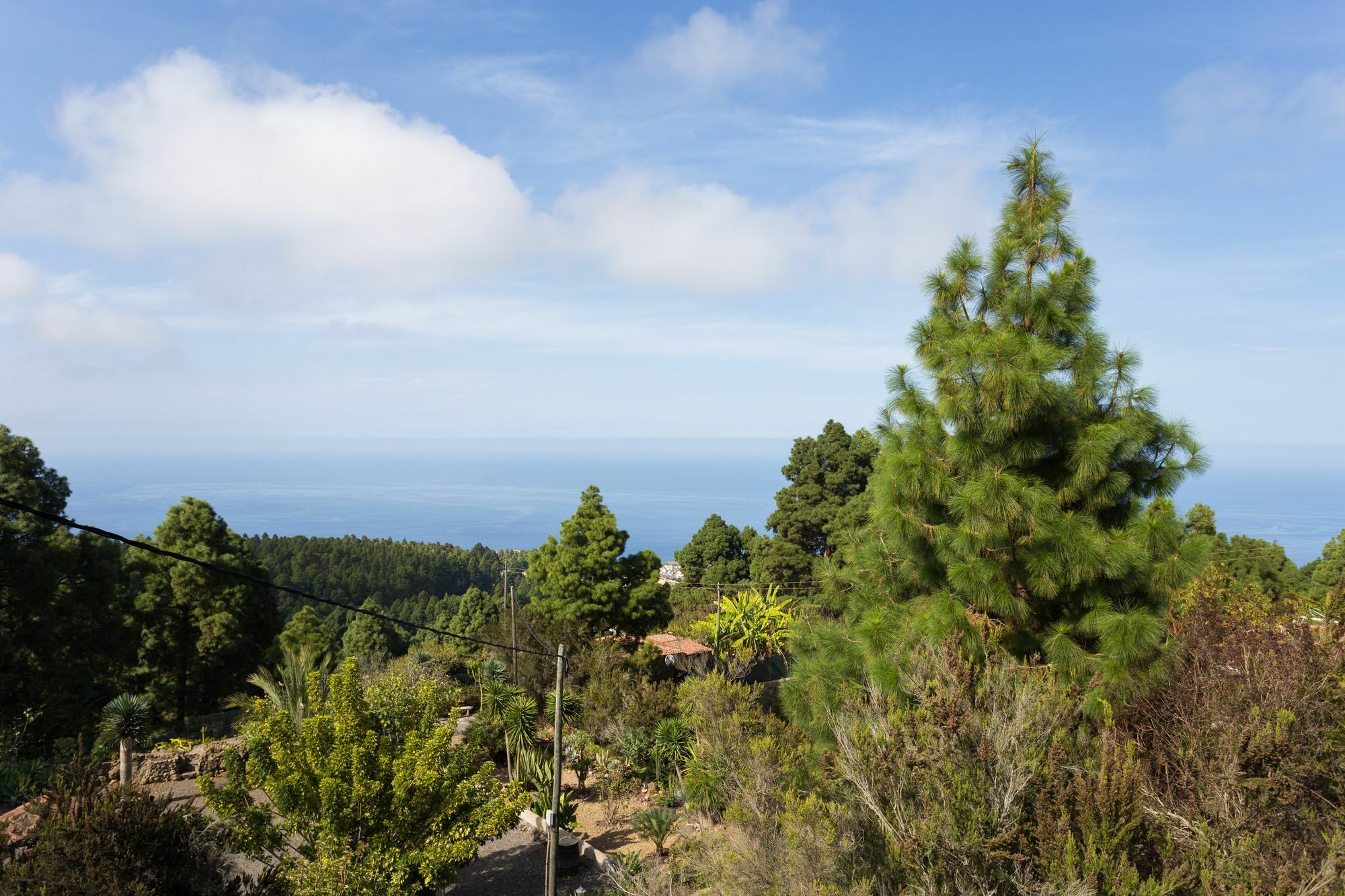 Finca Casa Yaya Икод де лос Винос Екстериор снимка